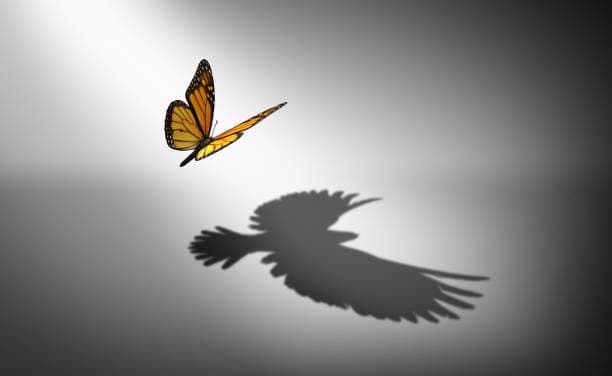 Innovative Leadership Practices for Business Growth